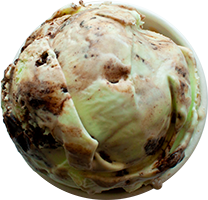 andersen-farms-nj-chocolate-covered-grasshopper-ice-cream