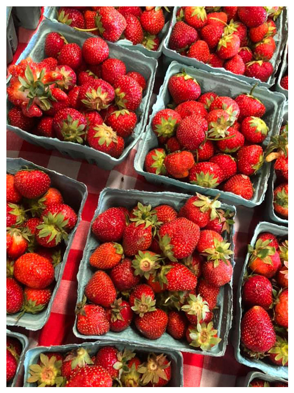andersen-farms-nj-fresh-strawberries