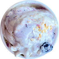 andersen-farms-nj-blueberry-toasted-coconut-ice-cream