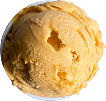 andersen-farms-nj-vegan-pumpkin-pie-ice-cream