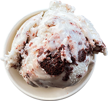 andersen-farms-nj-vegan-frosted-chocolate-cake-ice-cream