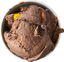 andersen-farms-nj-chocolate-pb-brownie-ice-cream