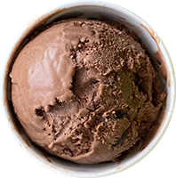 andersen-farms-nj-nsa-double-chocolate-chip-ice-cream