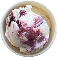 andersen-farms-nj-nsa-vanilla-cherry-ice-cream